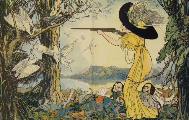 The Woman Behind the Gun’ (Puck Magazine, 1911) By 1903, one ounce of egret feathers was worth twice its weight in gold: fortunes were being made by plumage hunters the world over.